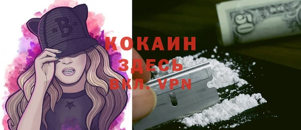 бошки Арсеньев