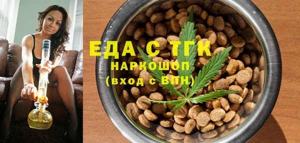 стаф Снежногорск