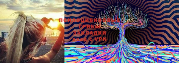 ECSTASY Армянск