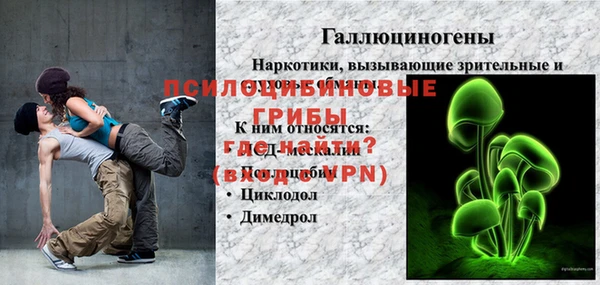 бошки Арсеньев
